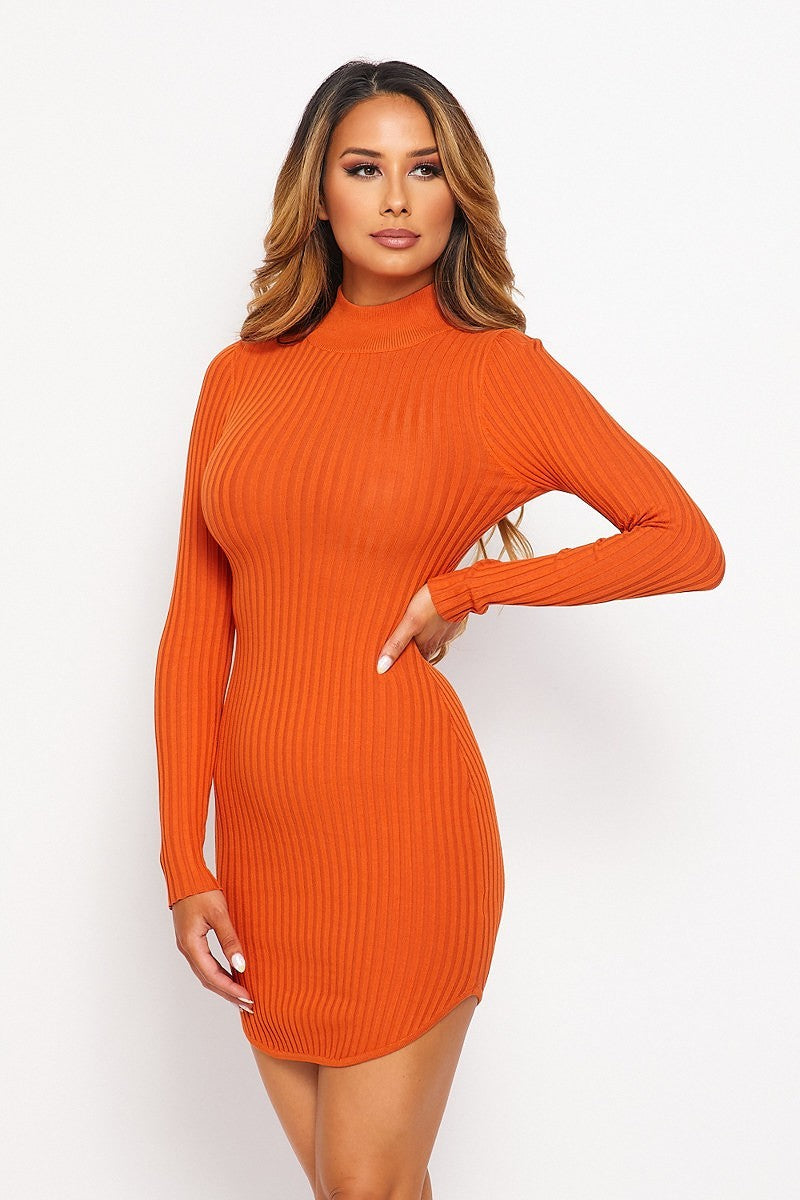 Knit Mock Neck Dress