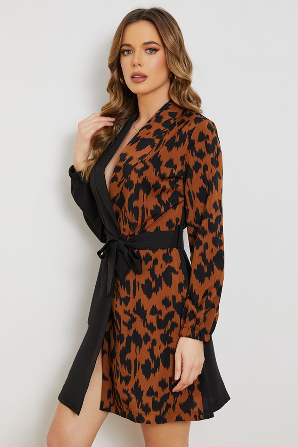 Leopard Two-Tone Belted Dress